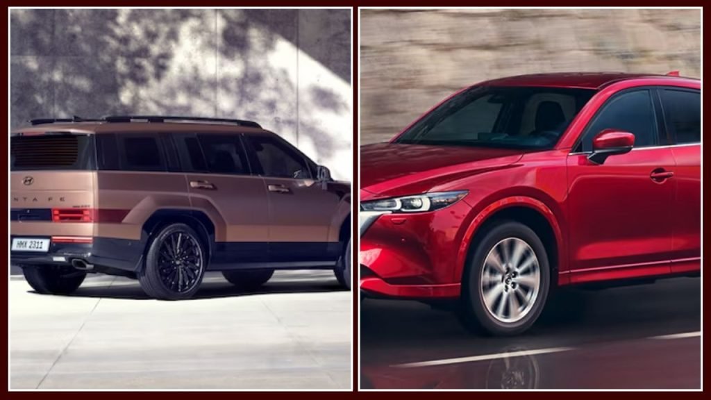 Exterior Dimensions Size Comparison