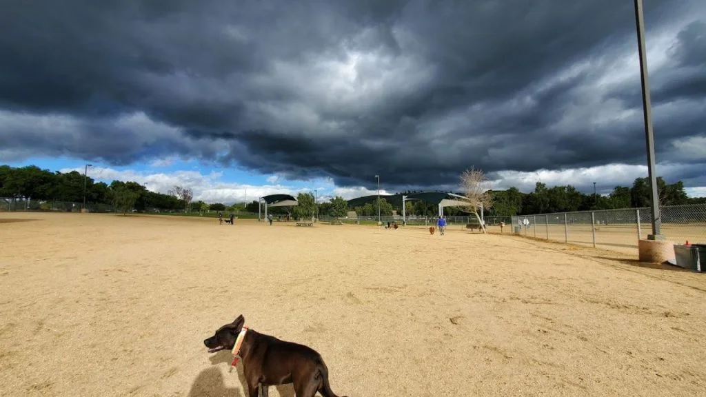 conejo creek dog park