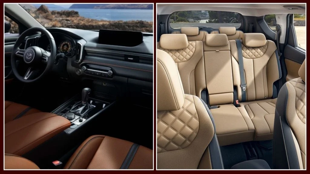 Interior and Cargo Space Comparison