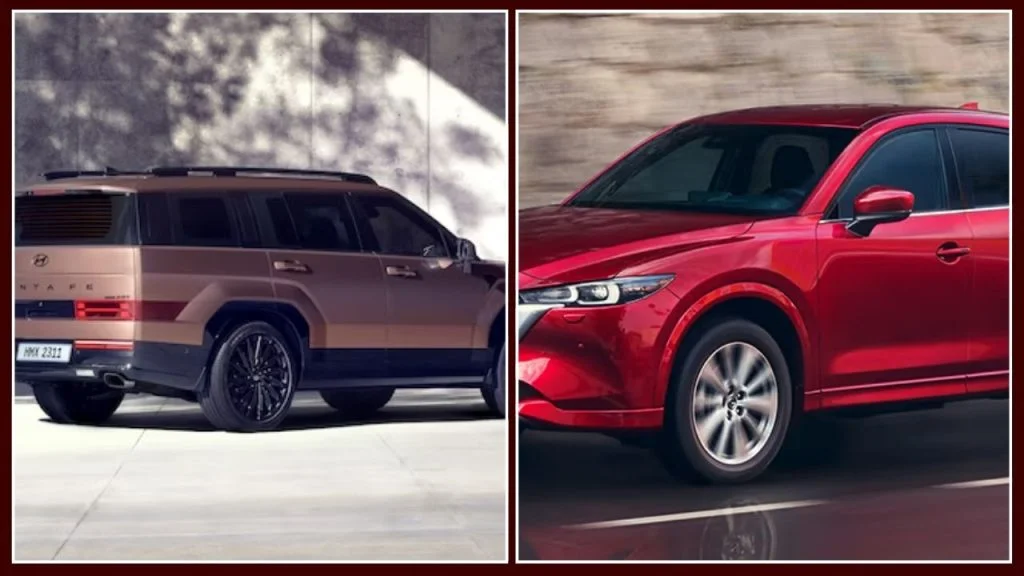 Exterior Dimensions Size Comparison