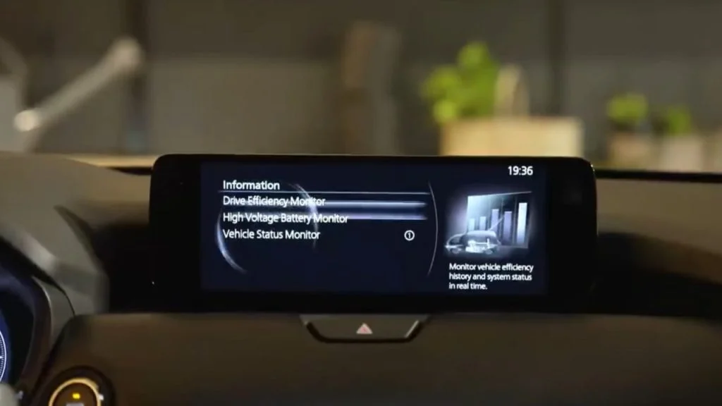Advanced Infotainment Display